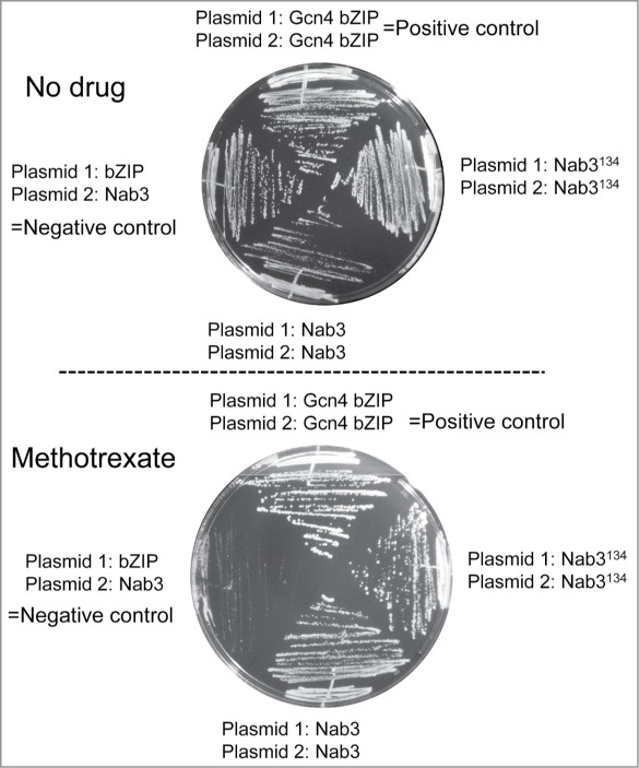 Figure 7.