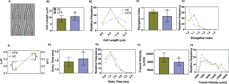 Fig.1