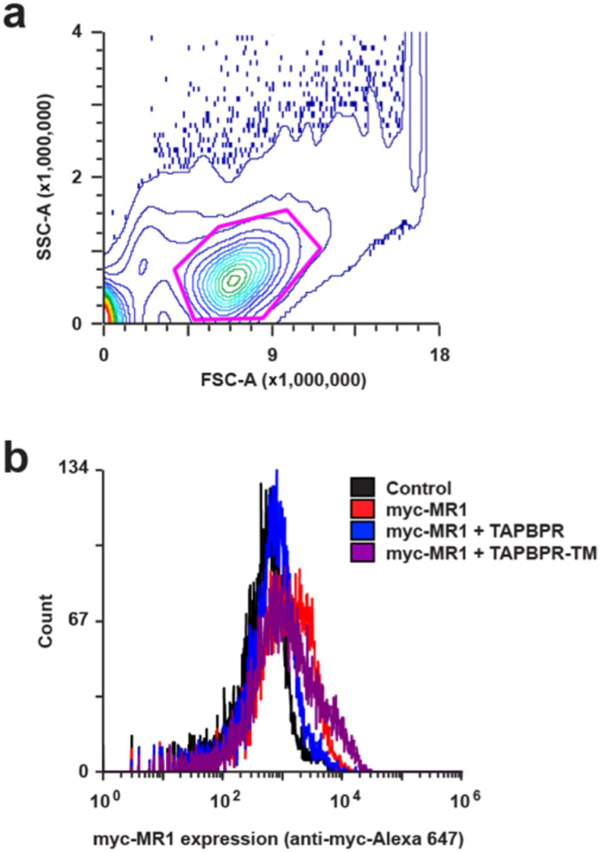 Extended Data Fig. 7 ∣