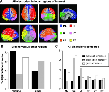 Effects Of Working Memory Load On Oscillatory Power In Human 