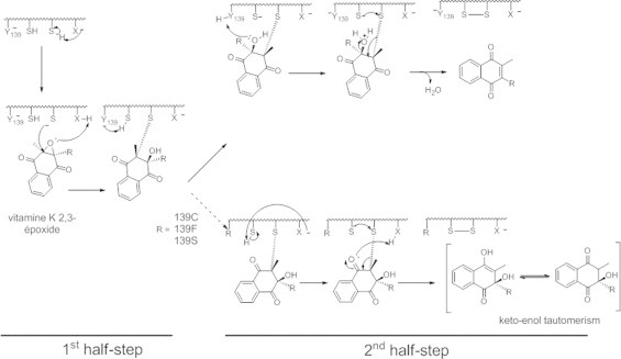 Fig. 6