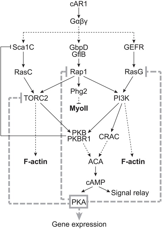 Fig. 8.