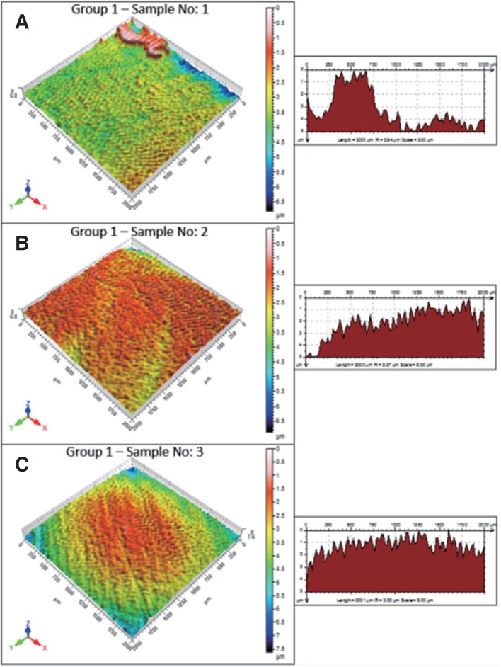 Fig. 3