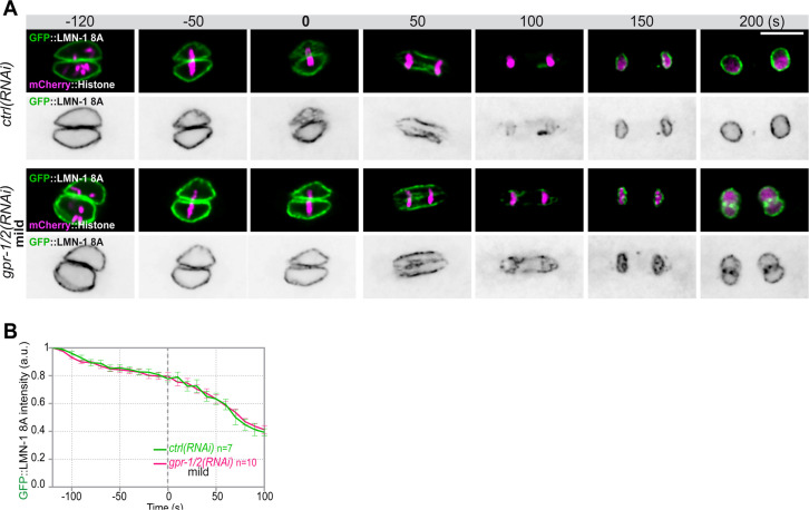 Figure 2—figure supplement 1.