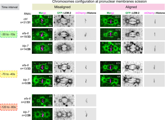 Figure 4—figure supplement 1.