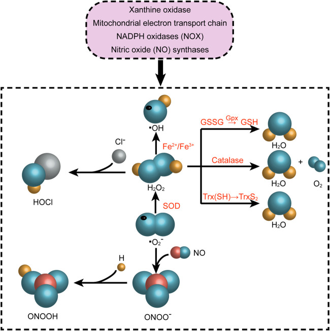 FIGURE 3