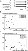 FIG. 2.