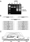 FIG. 6.