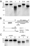 FIG. 5.