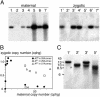 FIG. 7.