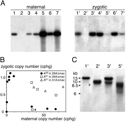 FIG. 7.