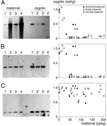 FIG. 1.