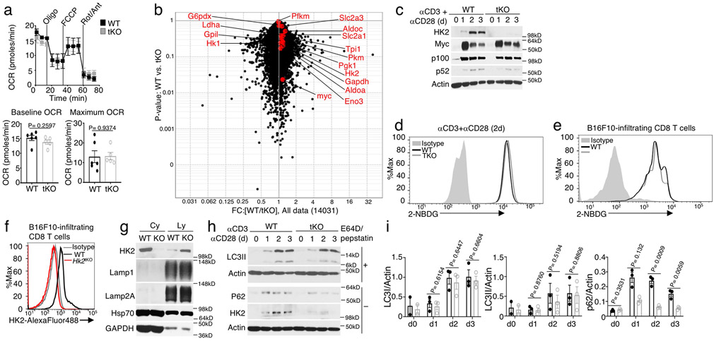 Extended Data Fig. 3