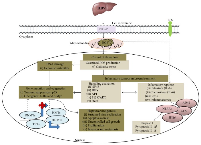 Figure 2