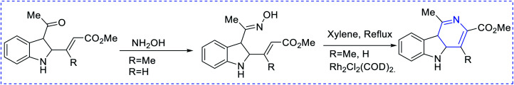 Scheme 5