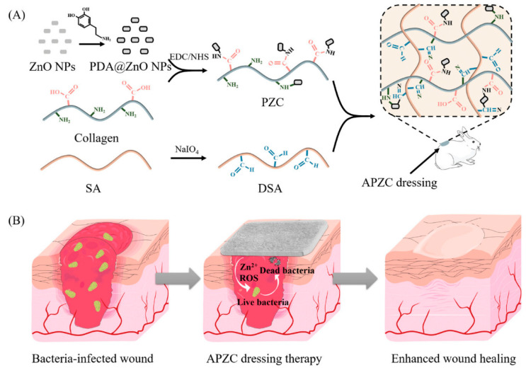 Natural Regenerative Hydrogels For Wound Healing - Pmc