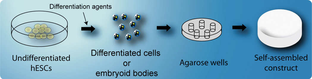 Fig 5