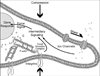 Fig 7