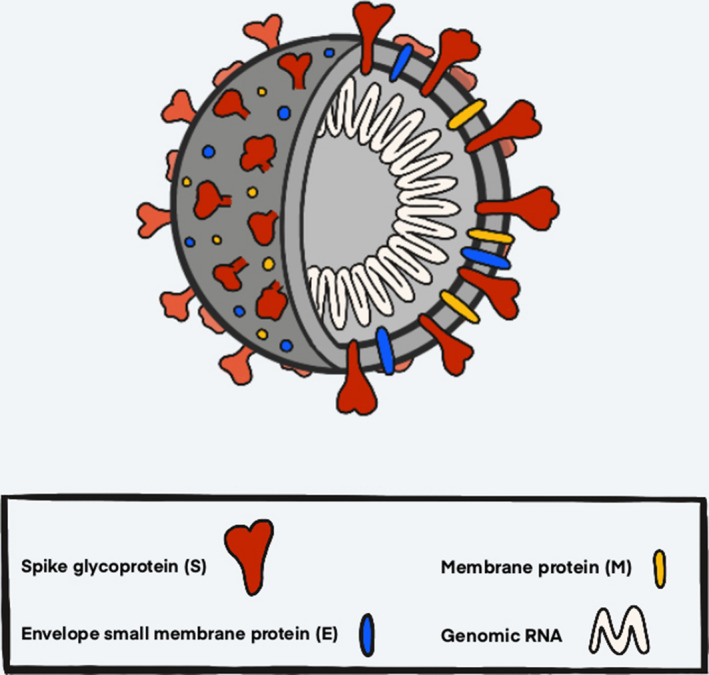 Fig. 2