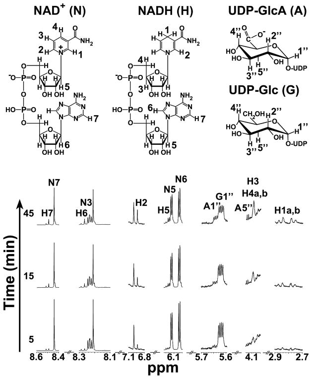 FIGURE 3