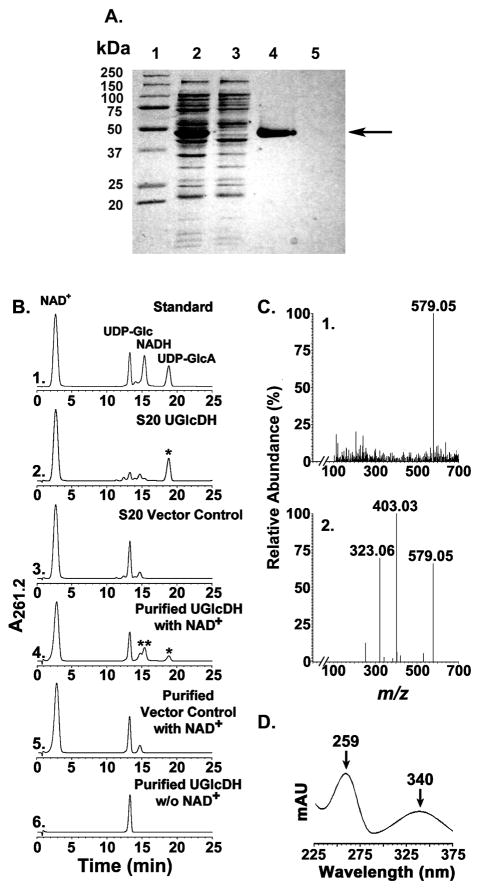 FIGURE 2