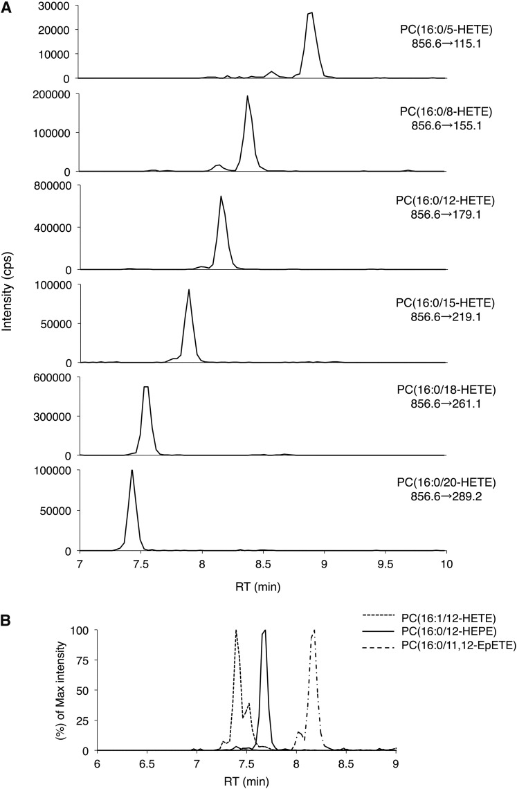 Fig. 3.