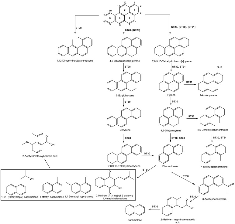 Scheme 2