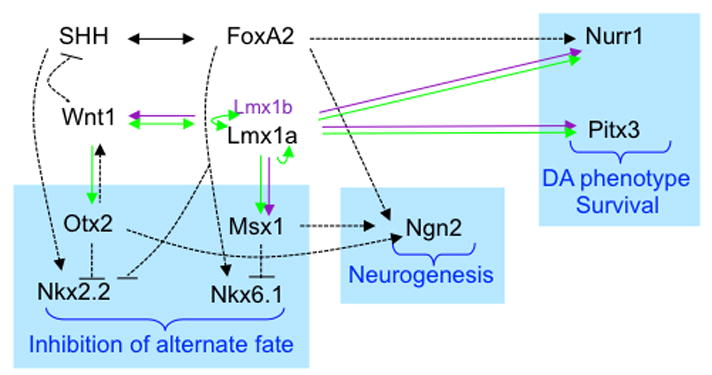 Fig. 7