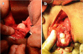 Figure 3a.