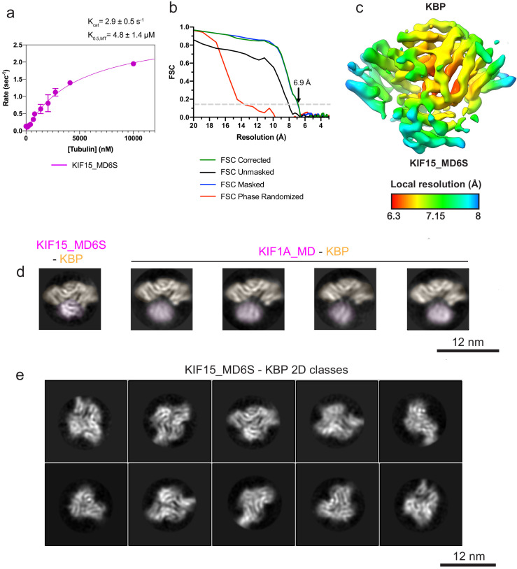 Figure 2—figure supplement 1.