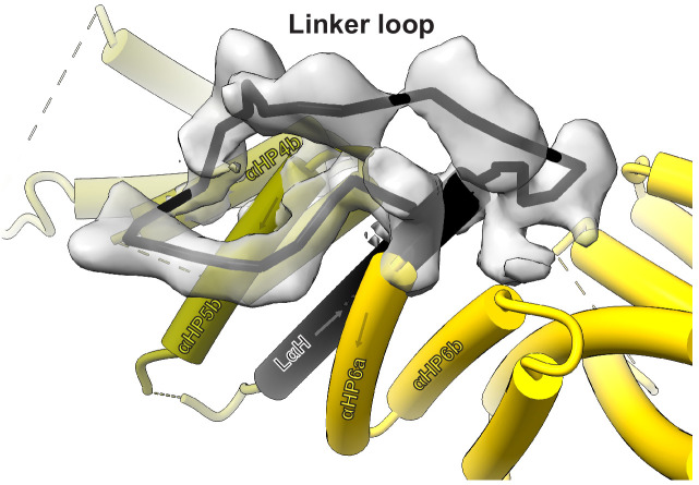 Figure 1—figure supplement 3.