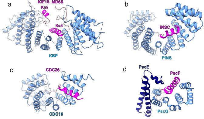 Figure 3—figure supplement 3.