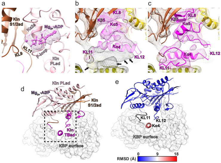 Figure 3—figure supplement 2.