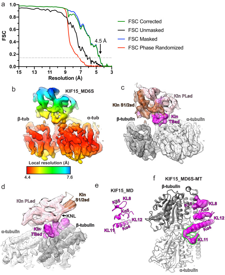 Figure 3—figure supplement 1.