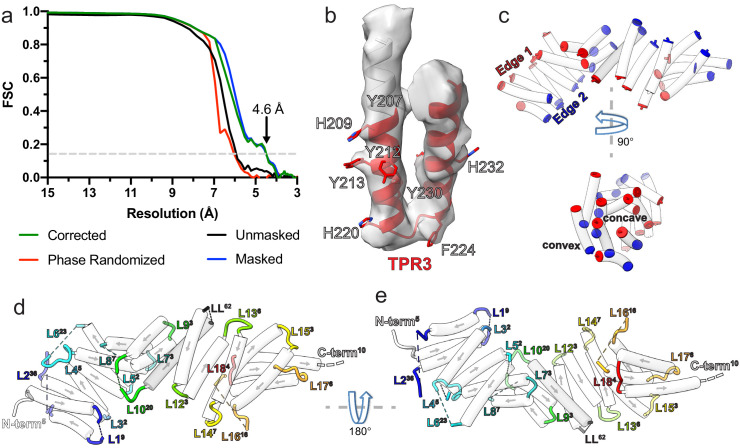 Figure 1—figure supplement 1.