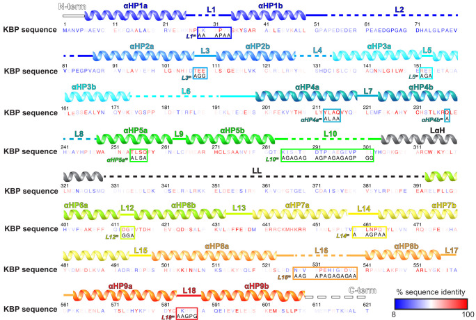 Figure 1—figure supplement 2.