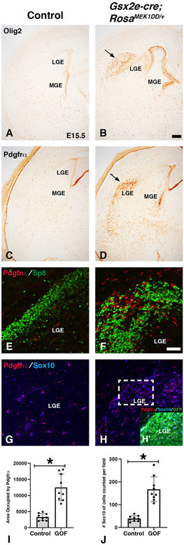 Figure 5: