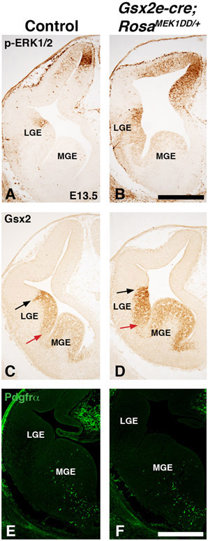 Figure 6: