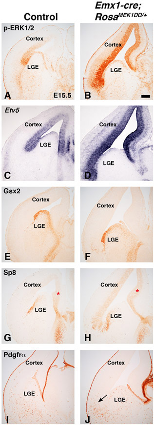 Figure 7: