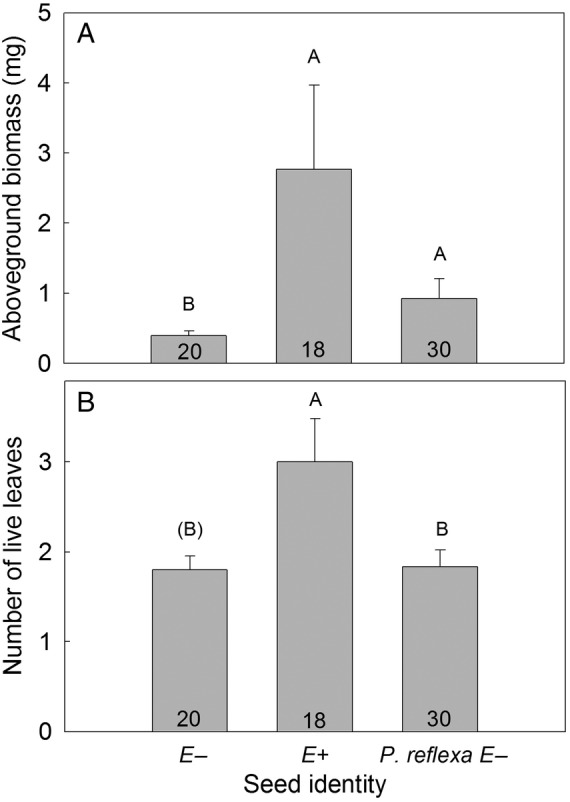 Figure 6.