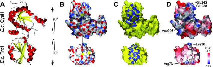 Fig. 2