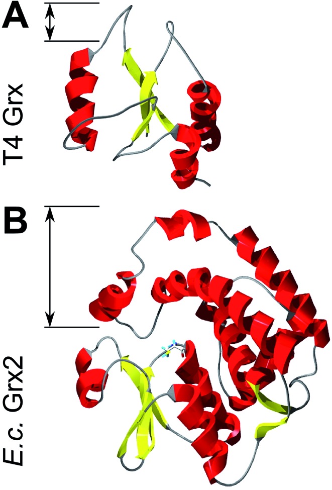 Fig. 4