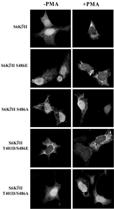 FIG. 8.