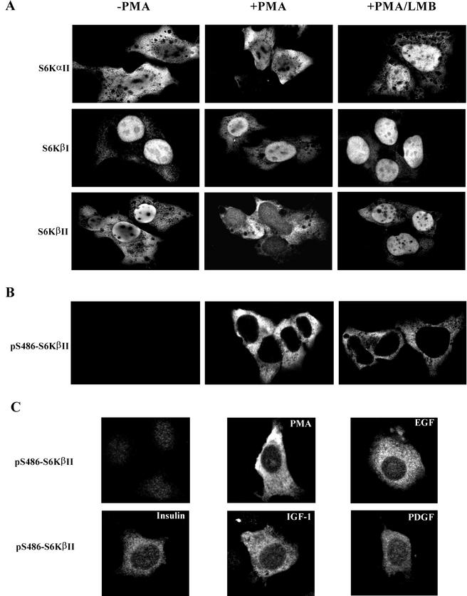 FIG.7.