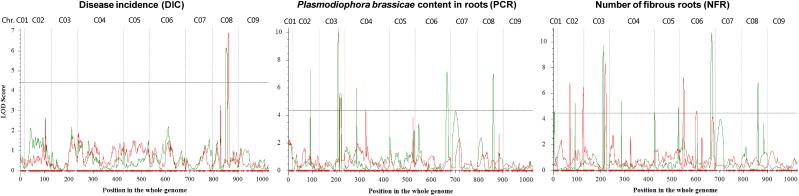 FIGURE 3