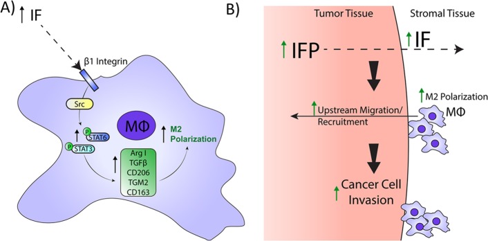 FIGURE 7: