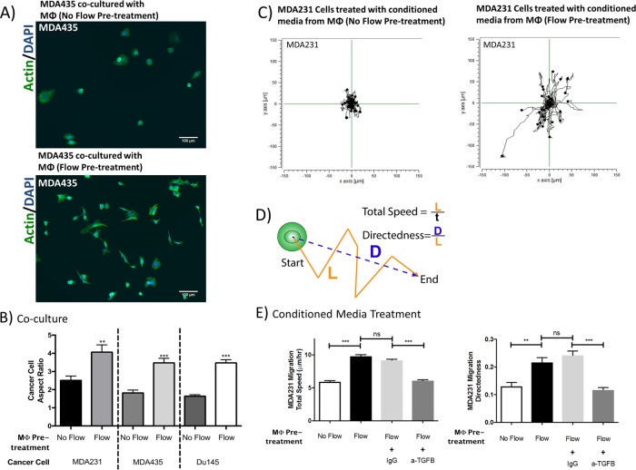 FIGURE 4: