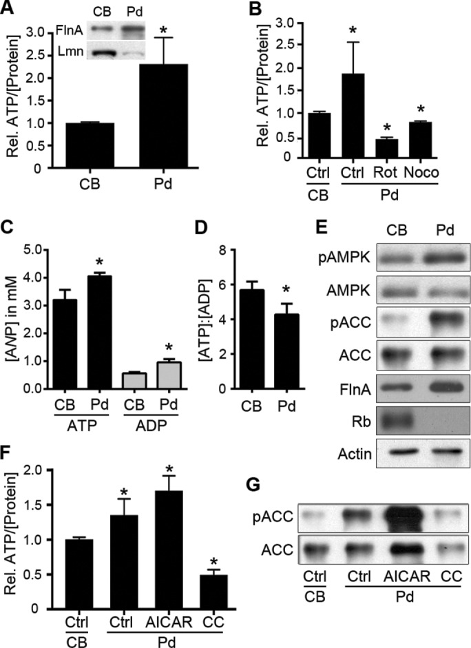 FIGURE 3: