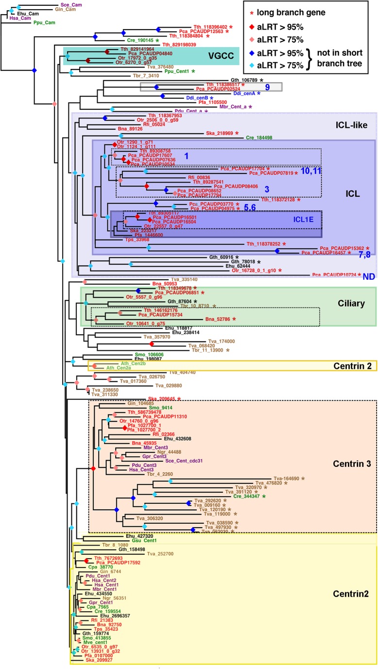 Fig. 8.