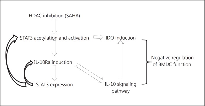 Fig. 11